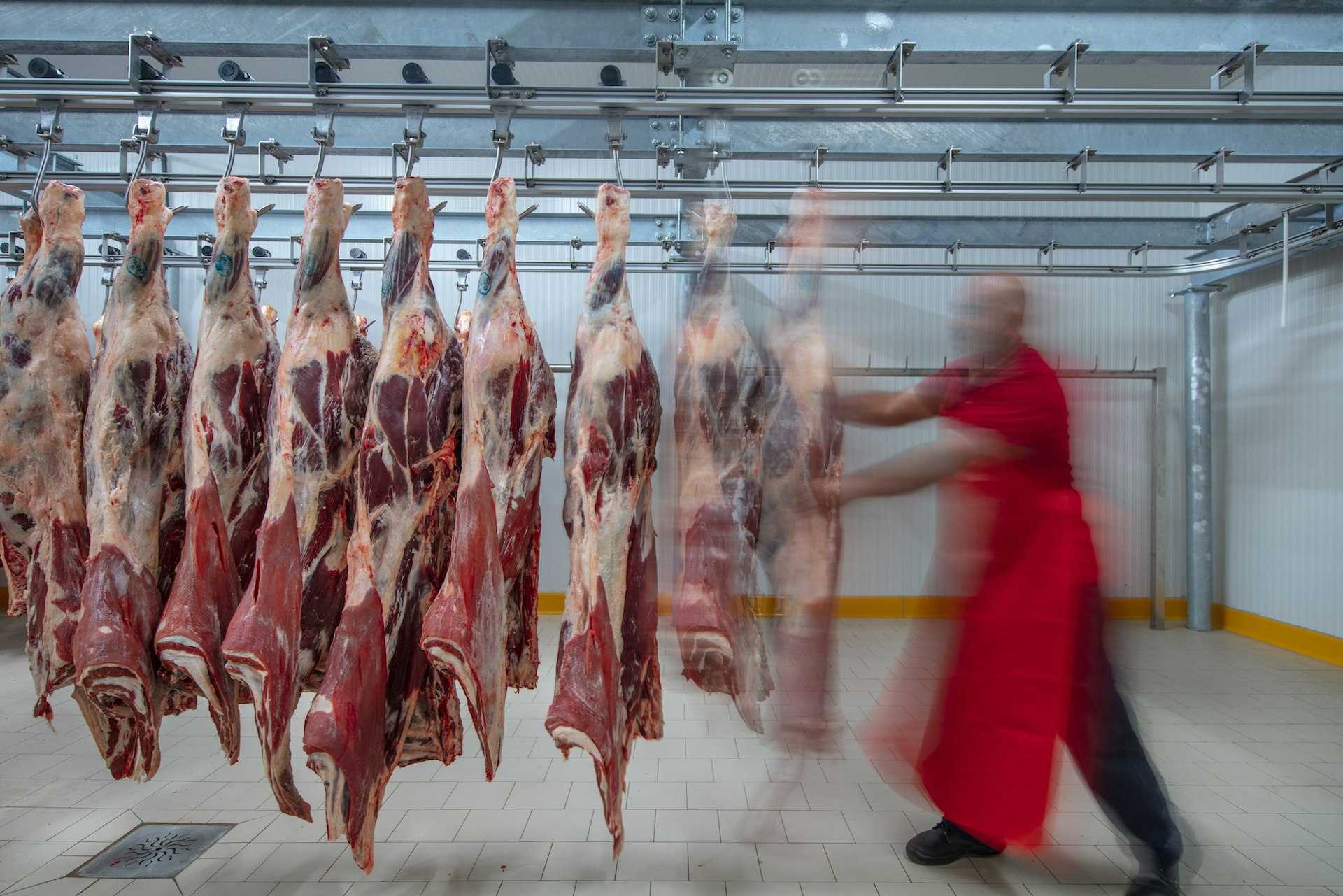 Planta empacadora y mayorista de carne en todo México