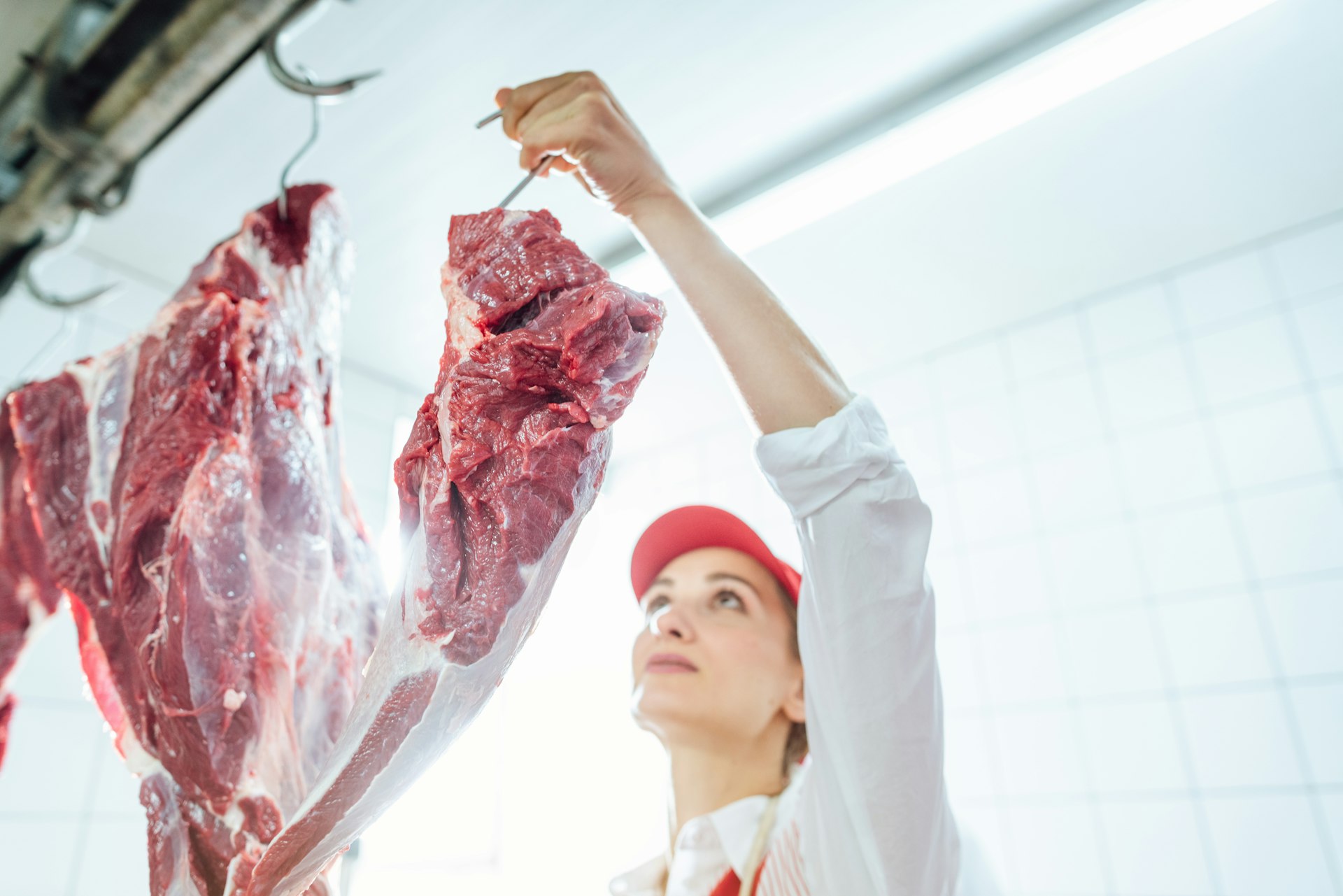 Carne de res seleccionada Redbuchef México